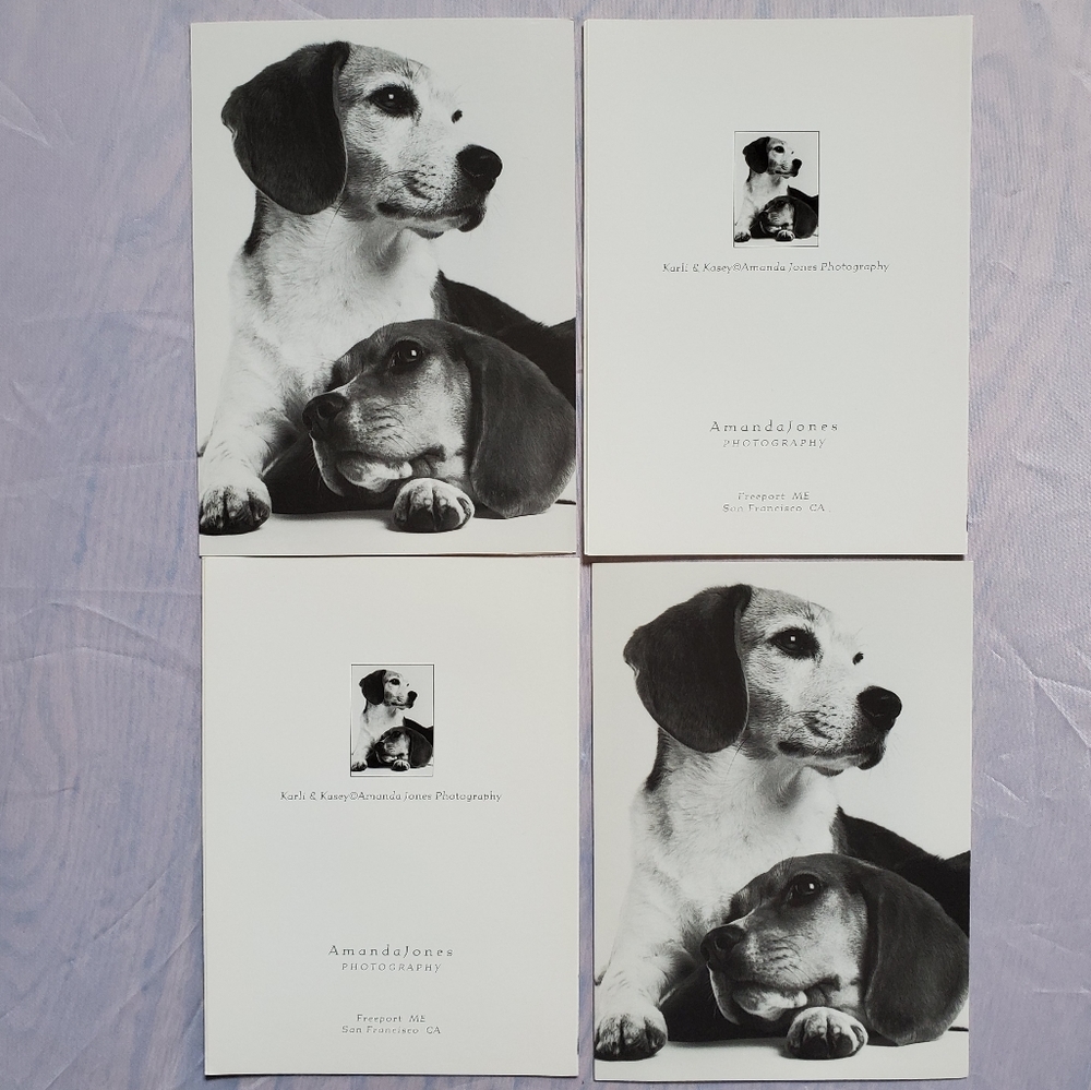 2 Puppy Greeting Cards - Picture 4 of 5